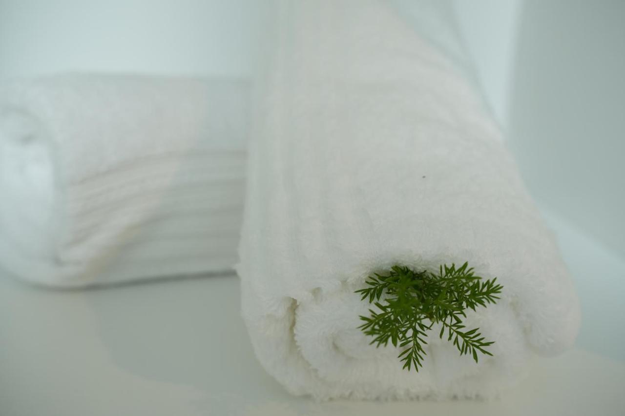 קמפטון פארק Jose Guesthouse מראה חיצוני תמונה